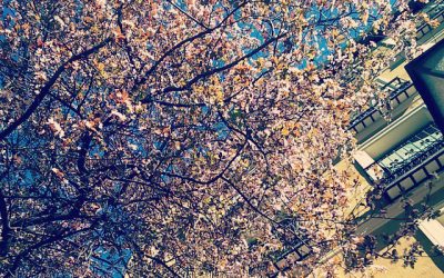 Playlist Juan Raro semana 24 de marzo de 2015