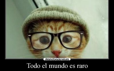 Playlist Juan Raro semana 26 mayo de 2015