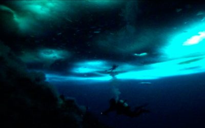 Microagenda de ocio en Lavapiés: 31 julio 2015