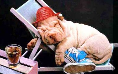 Cerrado por vacaciones