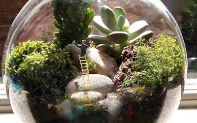 Planes en Lavapiés – 12/12/2017