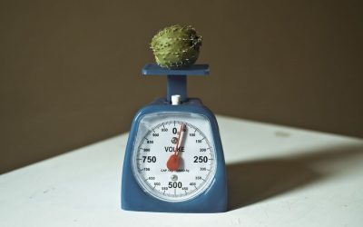 Planes en Lavapiés – 4/06/2019